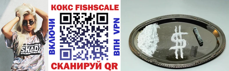 COCAIN Fish Scale Купить Нижние Серги