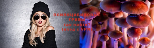 гидра Алзамай