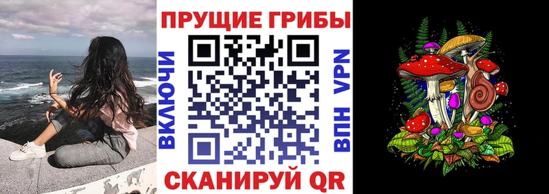 Купить где  Нижние Серги  Галлюциногенные грибы мухоморы 
